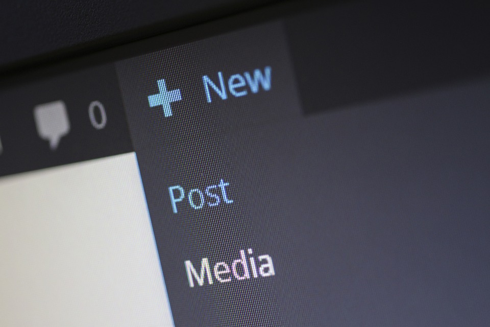 wordpress nieuwsbrief